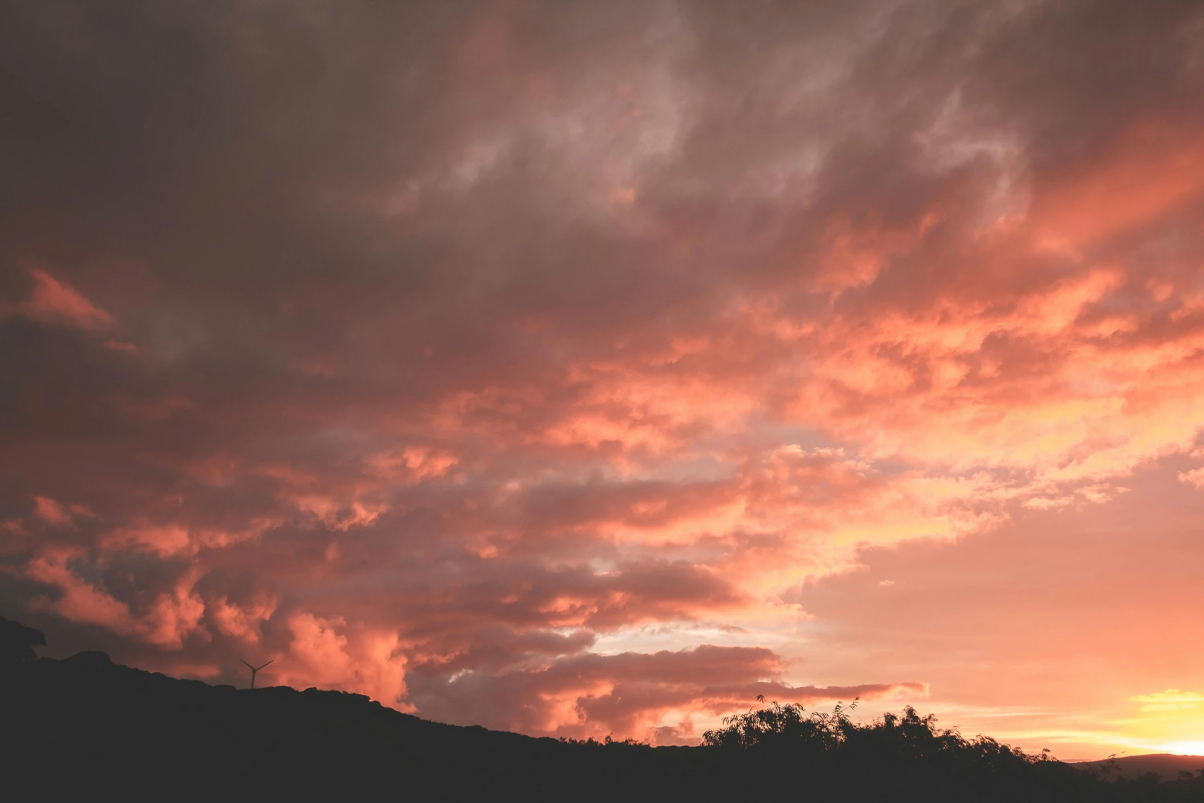 a couple of cows standing on top of a lush green field, by Lee Loughridge, unsplash contest winner, romanticism, ominous red cumulonimbus clouds, redpink sunset, sunset panorama, ((sunset))