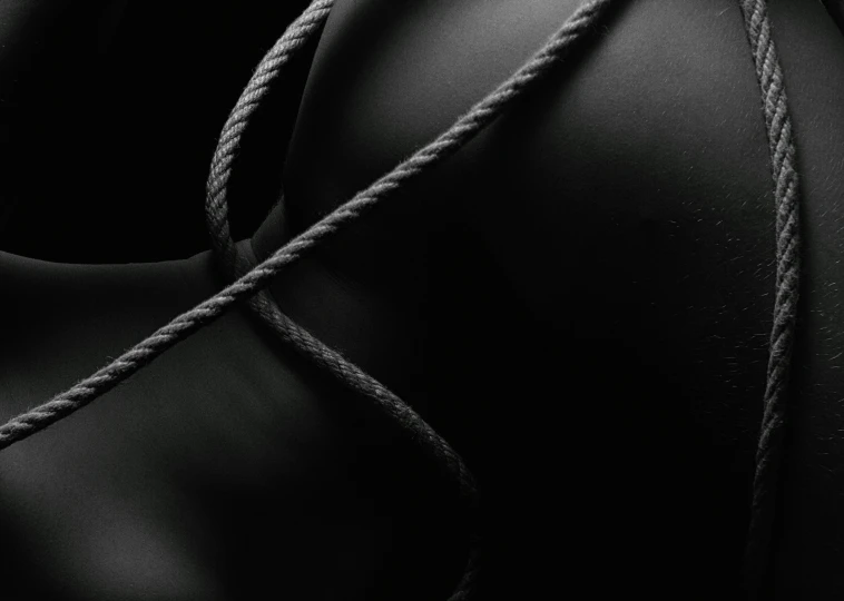 a black and white photo of a mannequin, an album cover, inspired by Robert Mapplethorpe, trending on pexels, rope bondage, dark wallpaper, black spandex, skin detail