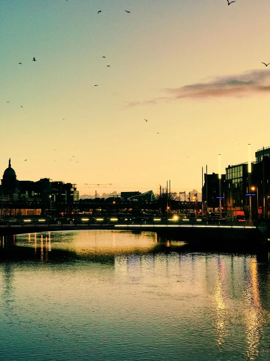 a group of birds flying over a body of water, by Kevin Connor, pexels contest winner, all buildings on bridge, ireland, filtered evening light, city panorama