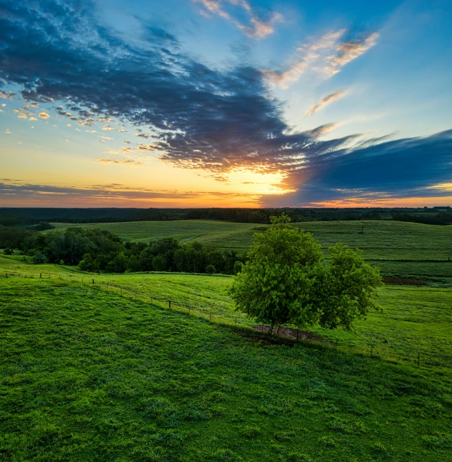 a tree sitting on top of a lush green field, by Peter Churcher, unsplash contest winner, sunset glow, lush farm lands, pastures, prairie