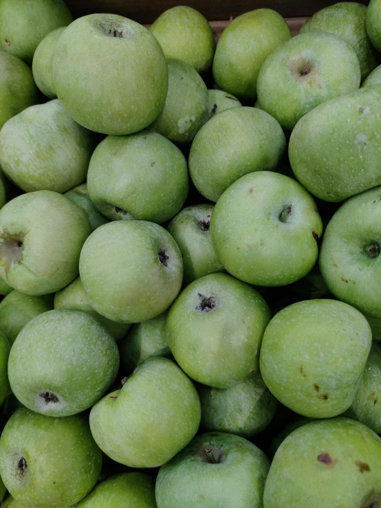 a wooden box filled with lots of green apples, inspired by Grillo Demo, unsplash, renaissance, 2 5 6 x 2 5 6 pixels, round cheeks, 🐿🍸🍋, dirty olive skin