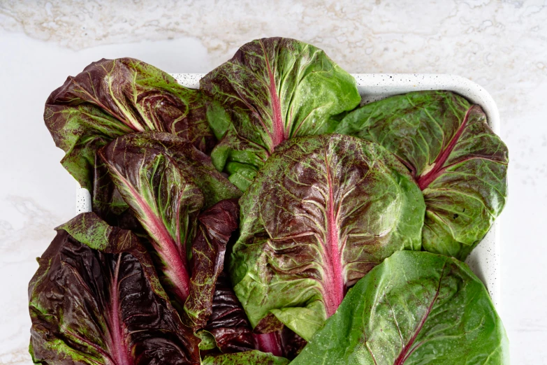 a white bowl filled with green and red lettuce, a portrait, by Carey Morris, unsplash, 6 pack, magenta, very large basil leaves, made of glazed