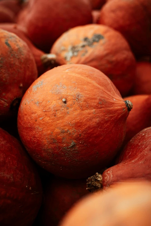 a pile of pomegranates sitting on top of each other, an album cover, unsplash, renaissance, hairy orange skin, acorns, full frame image, sri lanka