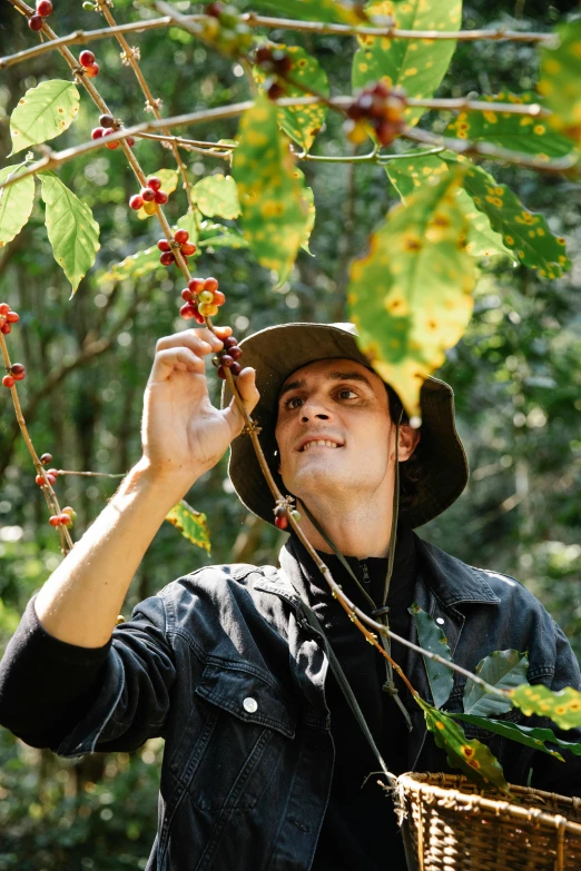 a man is picking berries from a tree, a portrait, inspired by Ceferí Olivé, trending on pexels, coffee, australian bush, profile image, avatar image