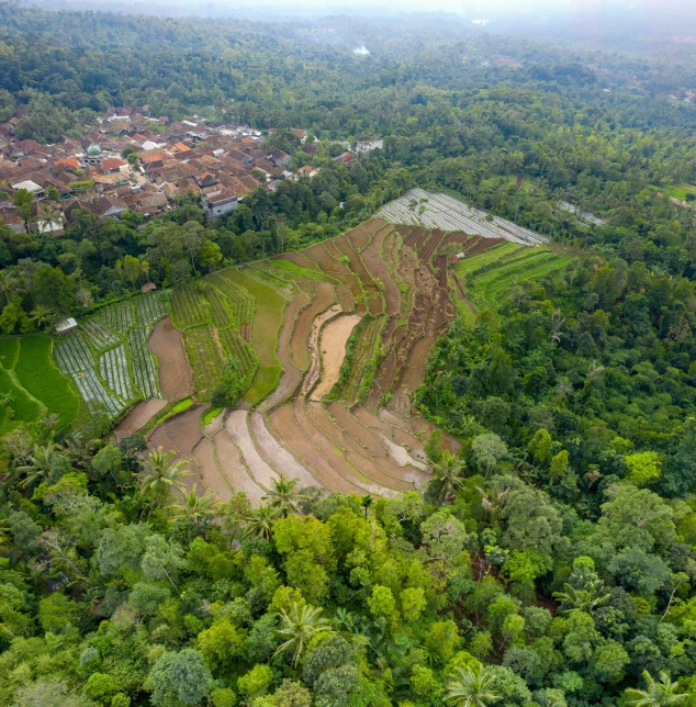 an aerial view of a rice field with a village in the background, by Daren Bader, forest clearing landscape, ravine, nature photo, commercially ready