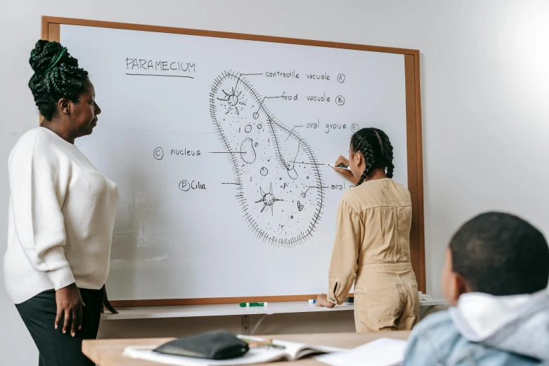 a group of people standing in front of a whiteboard, a drawing, by Adam Marczyński, trending on pexels, trypophobia, standing in class, thumbnail