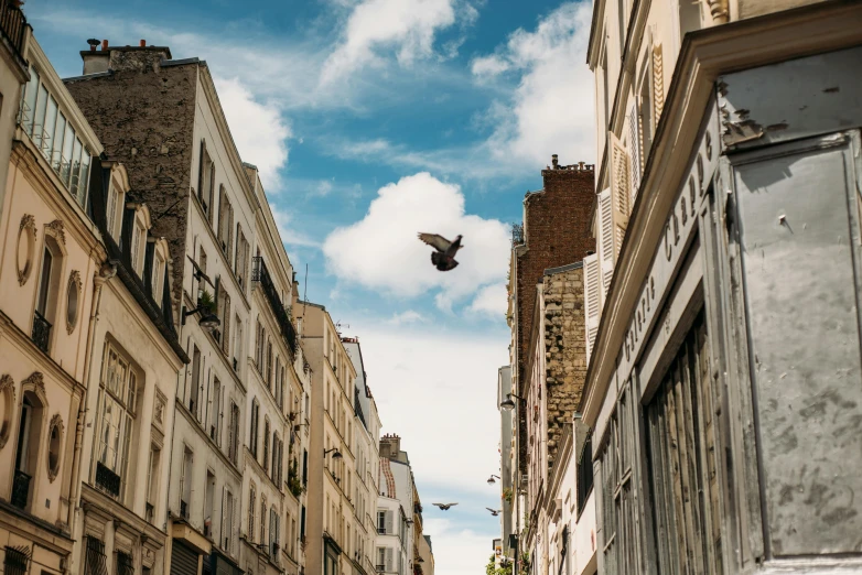 a man flying through the air while riding a skateboard, by Julia Pishtar, pexels contest winner, renaissance, parisian buildings, three birds flying around it, french village exterior, hunting