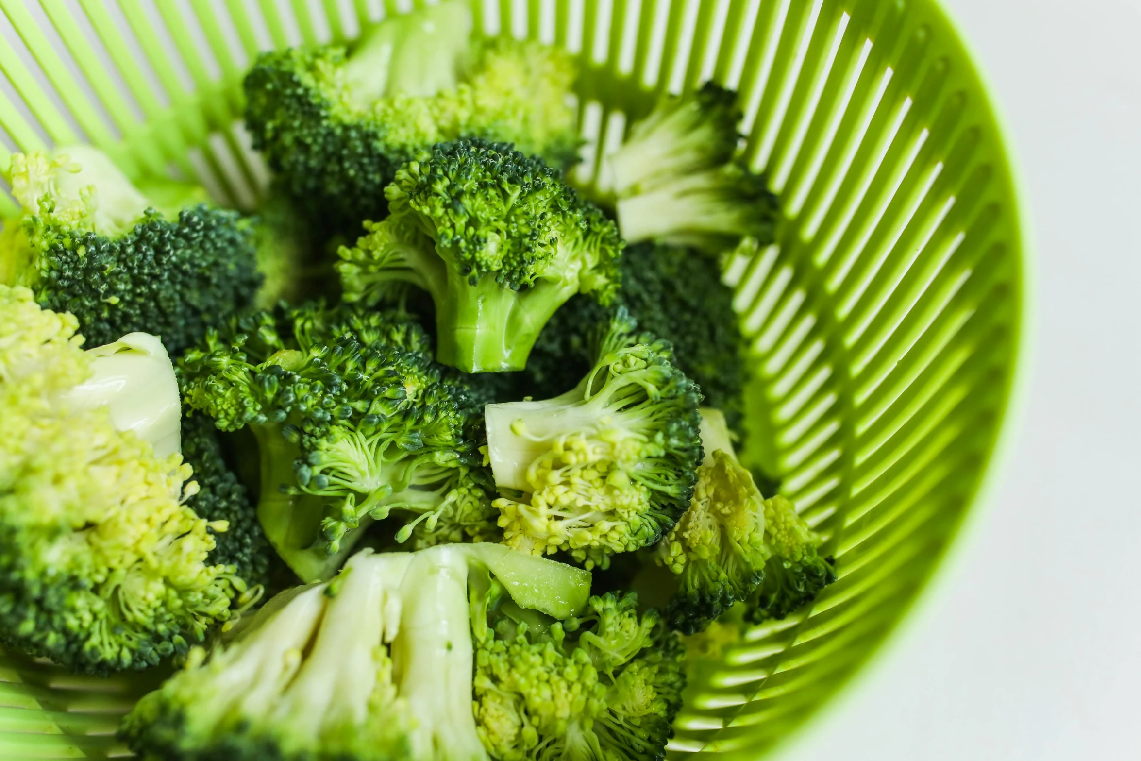 a close up of a bowl of broccoli, a stock photo, pexels, process art, in plastic, diecut, 🦩🪐🐞👩🏻🦳, 90s photo