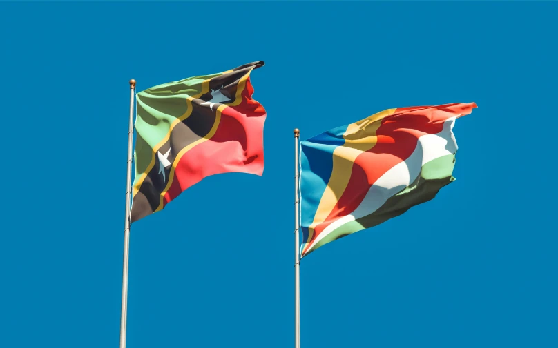 two flags blowing in the wind against a blue sky, by Stanley Matthew Mitruk, trending on unsplash, hurufiyya, samburu, square, multicoloured, image split in half