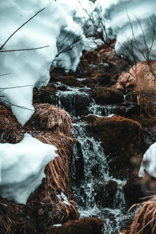 a stream running through a forest covered in snow, pexels contest winner, magma cascades, low detailed, chocolate river, movie photo