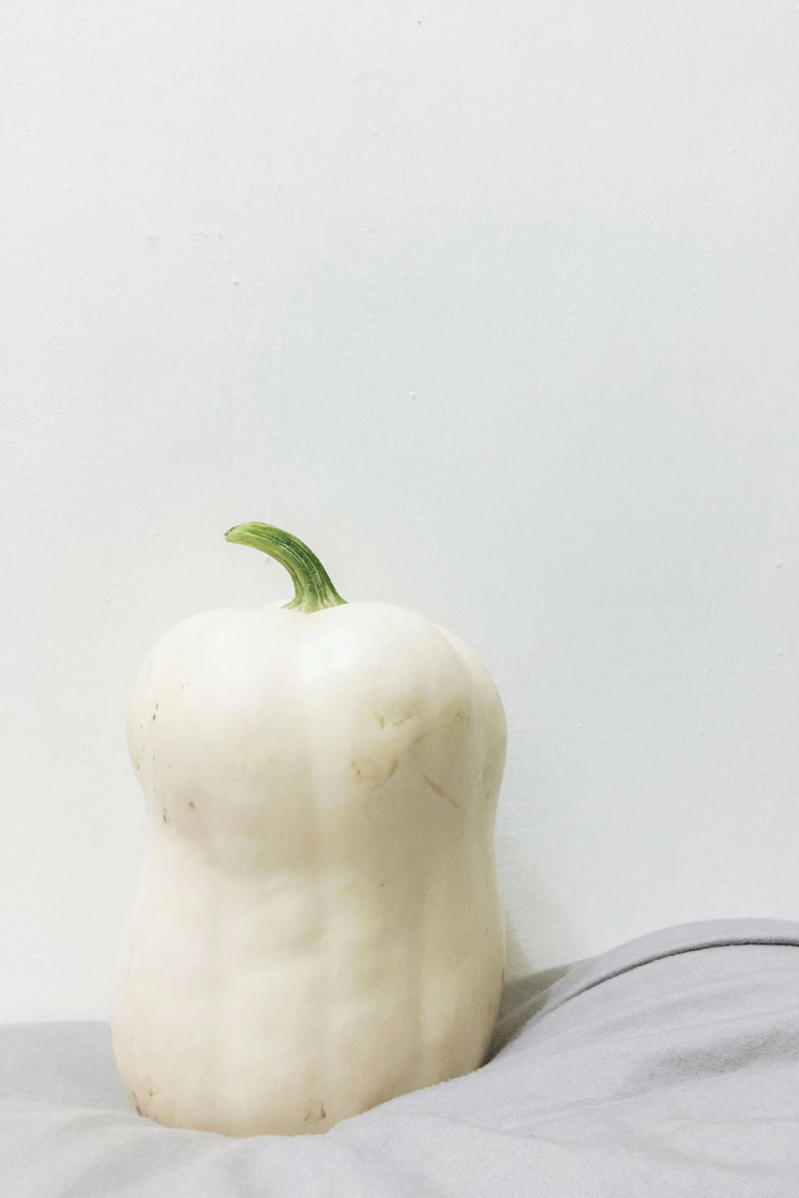 a white pepper sitting on top of a bed, inspired by Robert Mapplethorpe, renaissance, pumpkin, very thin, looking from side, veggies