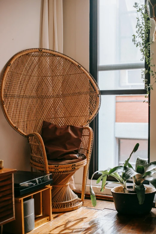 a wicker chair sitting in a living room next to a window, pexels contest winner, maximalism, fan favorite, tall plants, sitting on a mocha-colored table, city apartment cozy calm