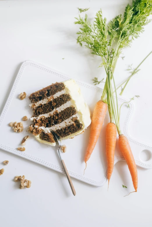 a white plate topped with carrots next to a piece of cake, a picture, by Andries Stock, unsplash, renaissance, square, with a white background, seeds, multi - layer