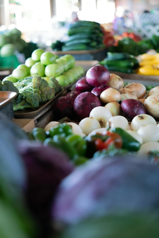 a table filled with lots of different types of vegetables, by Jessie Algie, unsplash, square, alabama, market setting, panoramic shot