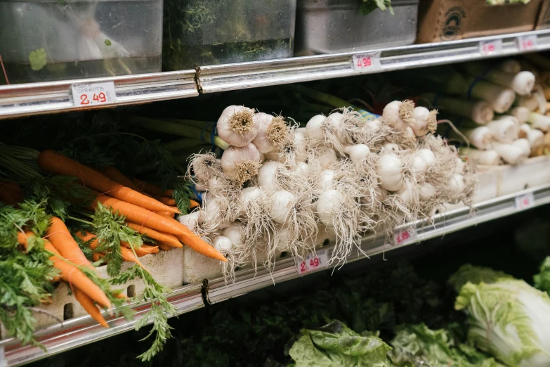 a bunch of vegetables that are on a shelf, by Ellen Gallagher, unsplash, orange fluffy spines, bushy white beard, inside a supermarket, roots dangling below