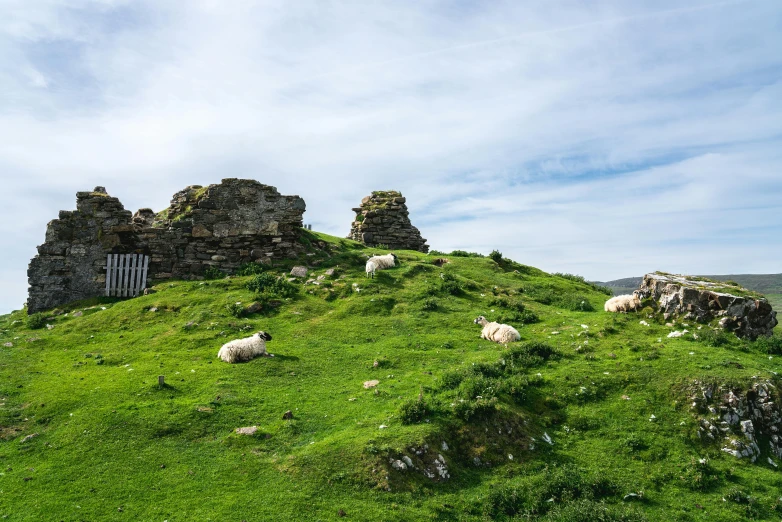 a herd of sheep sitting on top of a lush green hillside, an album cover, pexels contest winner, castle ruins, cloudless-crear-sky, cottages, tourist photo