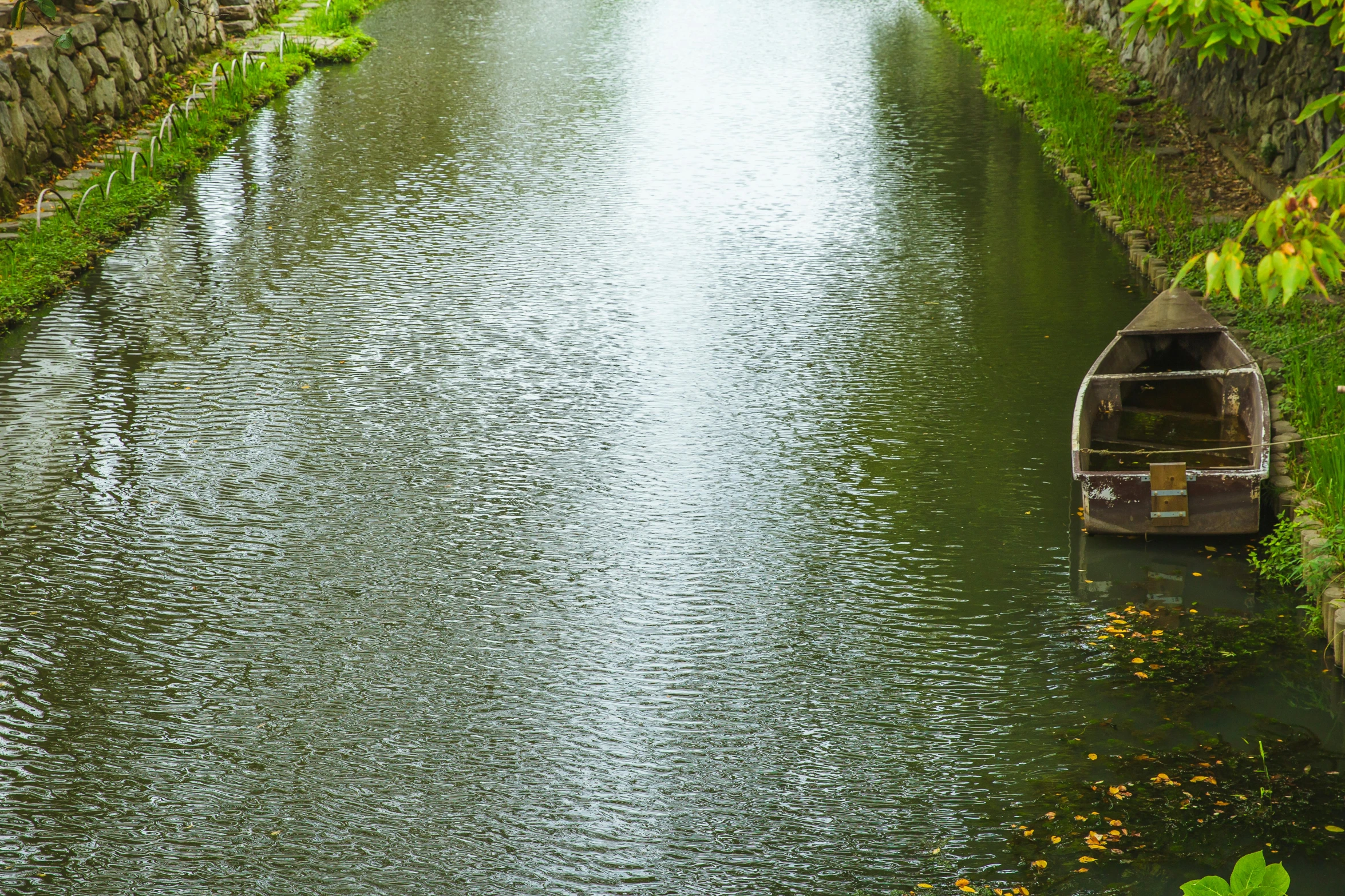 a boat that is sitting in the water, by Jan Tengnagel, pexels contest winner, renaissance, lush green, utrecht, water line surface, promo image