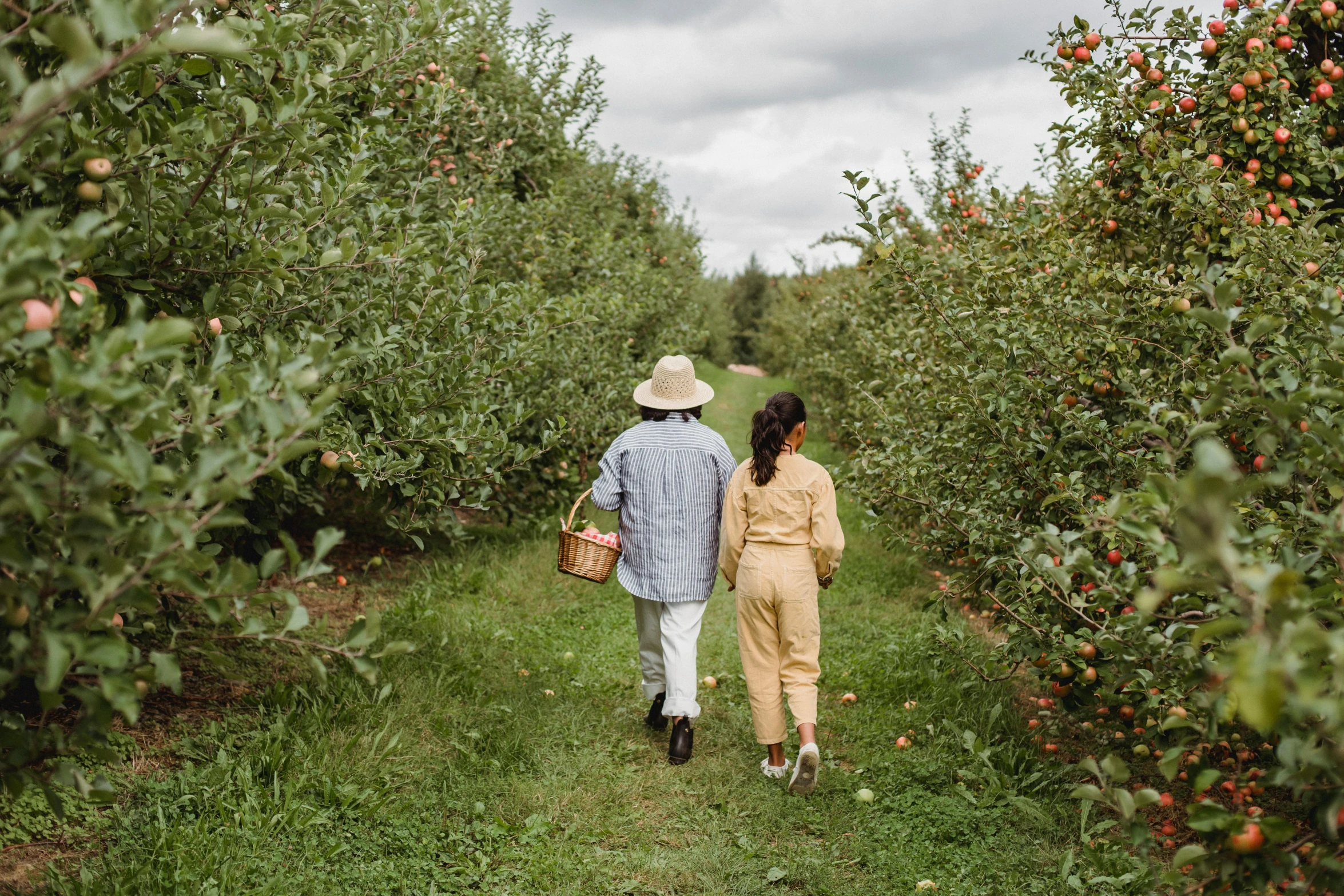 a man and woman walking through an apple orchard, by Julia Pishtar, pexels, 2 5 6 x 2 5 6 pixels, wearing overalls, ny, usa-sep 20