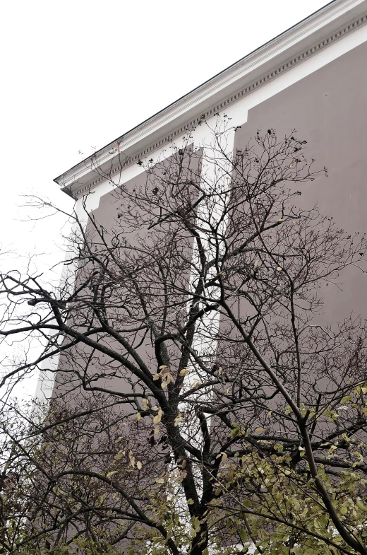 a clock on a pole in front of a building, an album cover, inspired by Mihály Munkácsy, neoclassicism, ((trees)), crows, very poor quality of photography, early spring