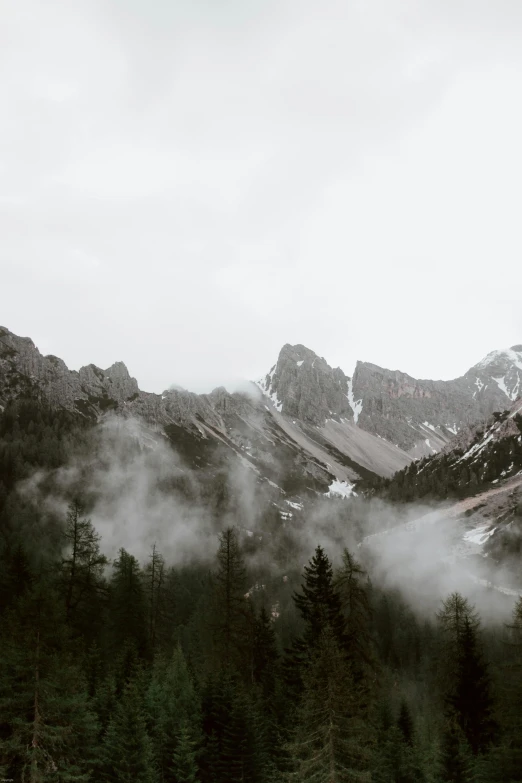 a black and white photo of a mountain range, pexels contest winner, foggy forrest backdrop, dolomites, gloomy weather. high quality, mountainous