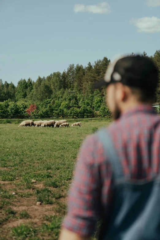 a man standing in a field looking at a herd of sheep, cinematic shot ar 9:16 -n 6 -g, next to farm fields and trees, finland, 8 k film still