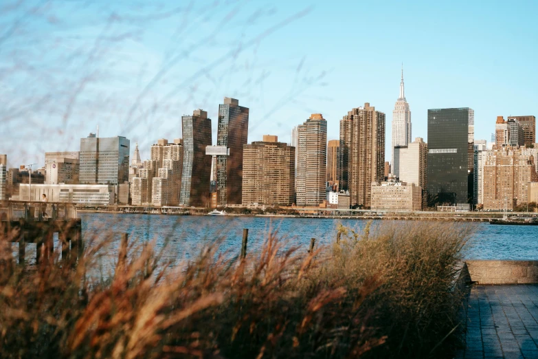 a large body of water with tall buildings in the background, by Carey Morris, unsplash contest winner, grass field surrounding the city, nyc, brown, background image