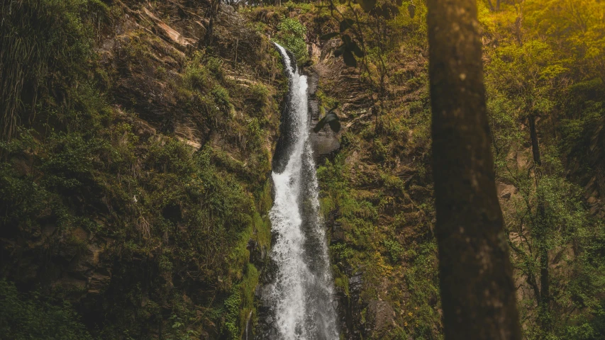 a waterfall in the middle of a forest, pexels contest winner, hurufiyya, uttarakhand, thumbnail, high details photo, brown