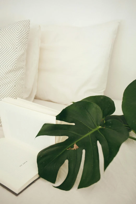 a laptop computer sitting on top of a bed, inspired by José Malhoa, trending on unsplash, minimalism, big leaves, armchairs, white, close up portrait shot