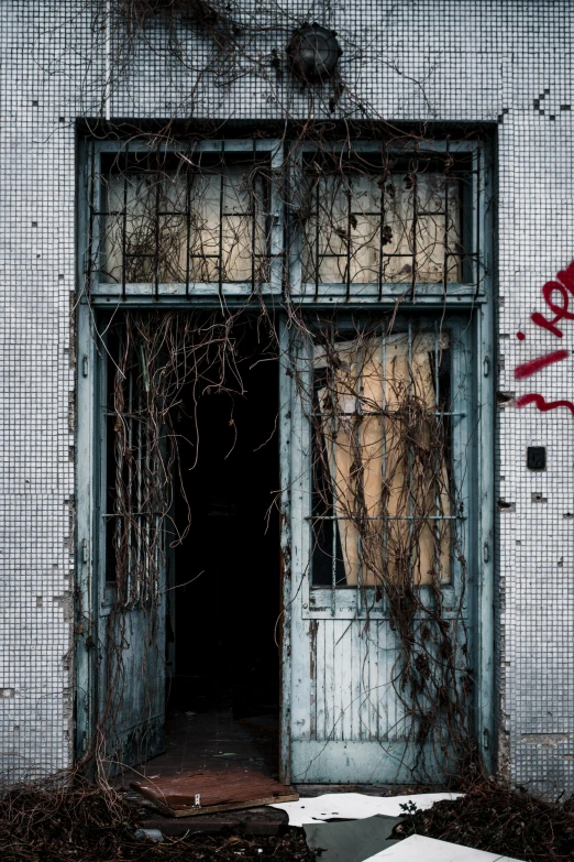 an old building with graffiti on the side of it, an album cover, by Jan Tengnagel, pexels contest winner, twisted withering vines, door to lab, splattered with blood, backrooms abandoned mall