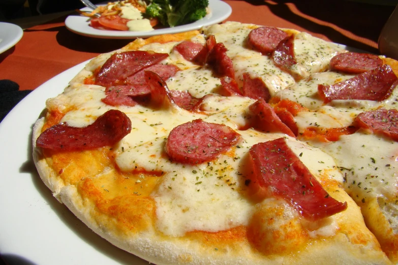 a pizza sitting on top of a white plate on a table, by Sam Dillemans, pixabay, chorizo sausage, square, chilean, mamou - mani