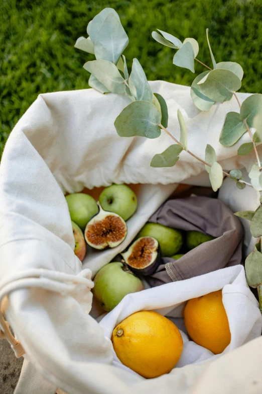 a basket filled with fruit sitting on top of a lush green field, inspired by Eden Box, cloth wraps, white, detail shot, grey