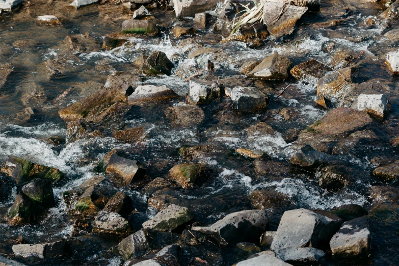 a red fire hydrant sitting on top of a rocky river, an album cover, unsplash, hurufiyya, ((rocks)), fish flocks, small creek, full frame image
