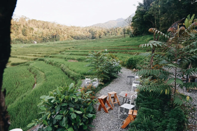 a group of chairs sitting on top of a gravel road, by Jessie Algie, unsplash, sumatraism, above lush garden and hot spring, rows of lush crops, restaurant, in a mountain valley