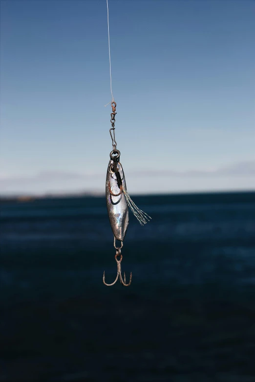 a close up of a fish on a fishing hook, by Jesper Knudsen, purism, at the sea, shiny silver, high-quality photo, mikko lagerstedt