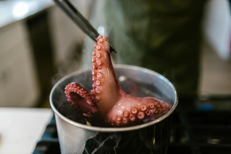 a close up of an octopus in a pot on a stove, by Adam Marczyński, trending on pexels, molecular gastronomy, cardboard cutout of tentacles, pouring, australian