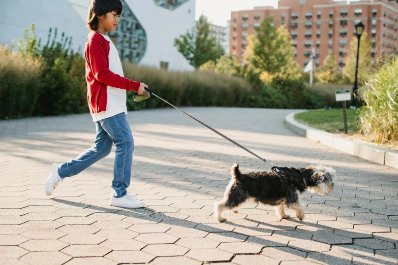 a little girl walking a dog on a leash, by Julia Pishtar, pexels, visual art, teen boy, in a city park, modern technology, on a sunny day