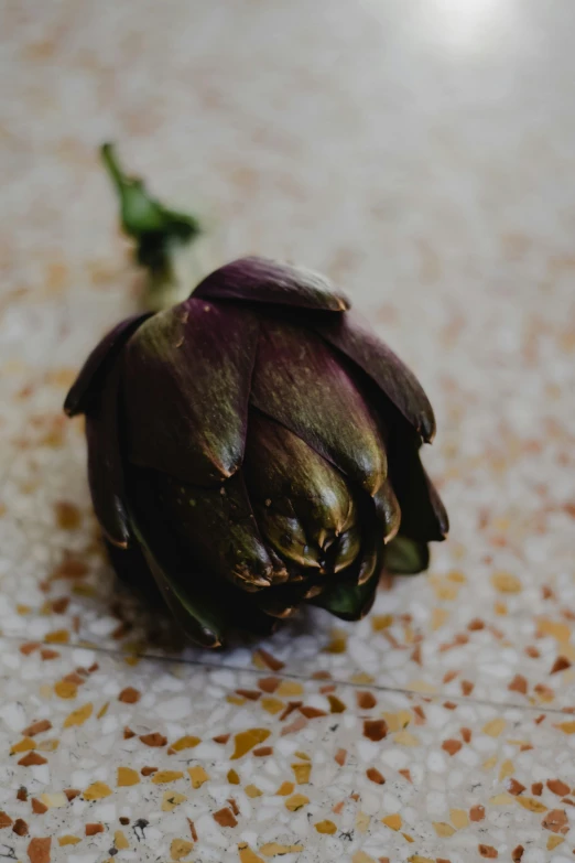 a close up of an artichoke on a table, by Justin Sweet, unsplash, made of dried flowers, chocolate, glossy surface, smooth tiny details
