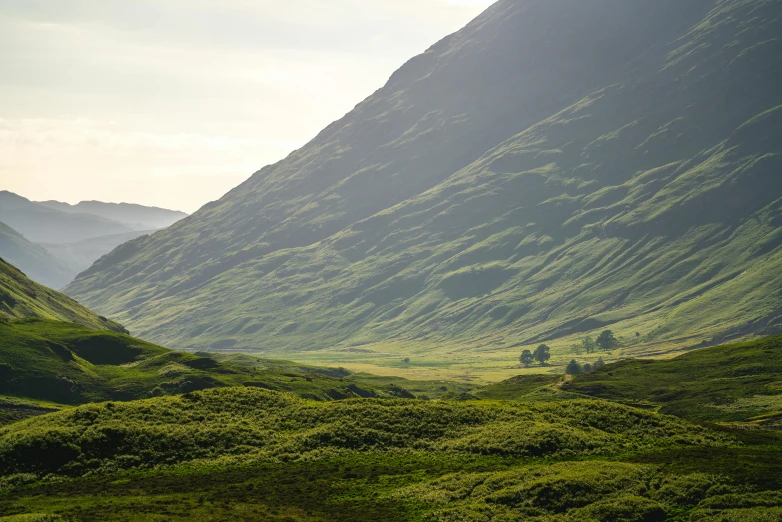 a herd of sheep standing on top of a lush green hillside, by Andrew Allan, pexels contest winner, scottish highlands, subtle shadows, distant mountains lights photo, panoramic shot