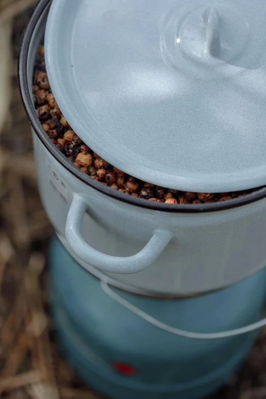 a close up of a pot with food inside of it, by Will Ellis, unsplash, seeds, tall, enamel, 8 l