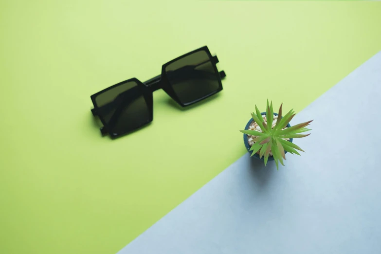 a plant that is next to a pair of sunglasses, inspired by Robert Mapplethorpe, trending on pexels, black square glasses, gradient green black, avatar image, spiky