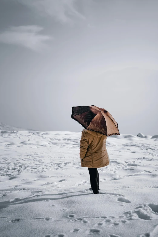 a person standing in the snow with an umbrella, pexels contest winner, caramel. rugged, gazing off into the horizon, icy glaciers, upset