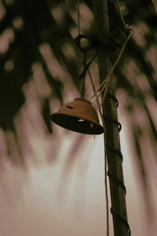 a bell hanging from the side of a palm tree, by Elsa Bleda, pexels contest winner, renaissance, brown atmospheric lighting, ((portrait)), may)