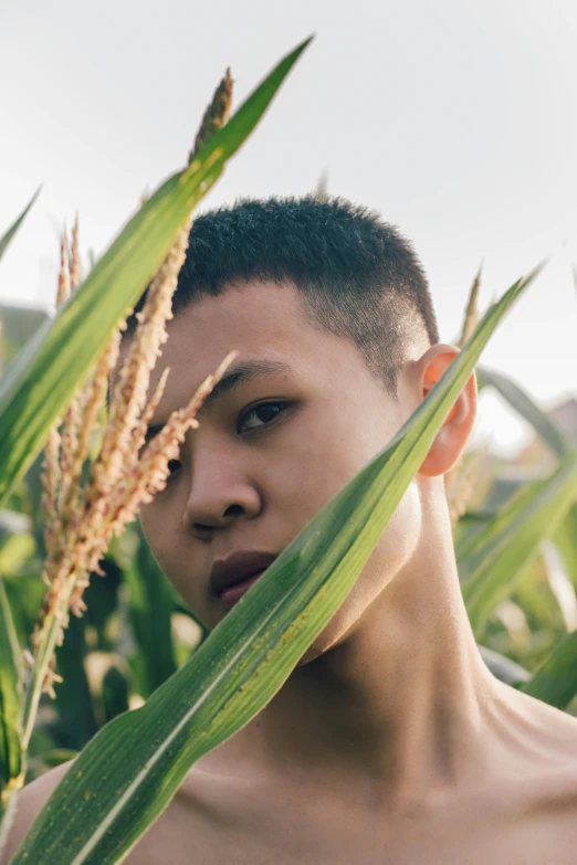 a man standing in the middle of a corn field, inspired by Ren Hang, unsplash, conceptual art, detailed face of a asian boy, nonbinary model, amongst foliage, shaved sides