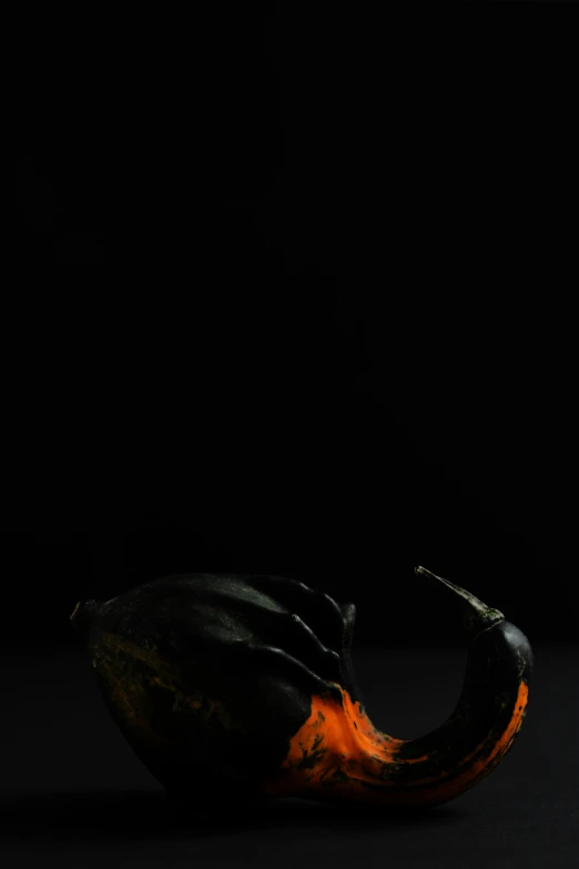 a piece of fruit sitting on top of a table, by Andries Stock, trending on polycount, art photography, woman made of black flames, animal horn, dark. studio lighting, 15081959 21121991 01012000 4k