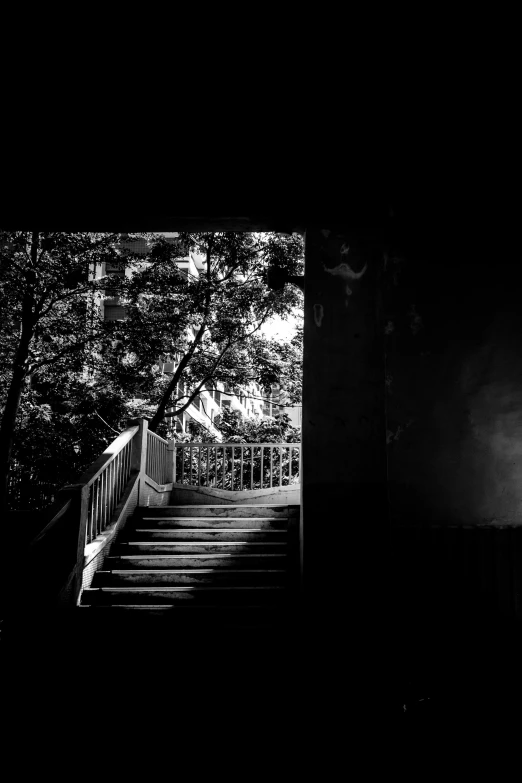 a black and white photo of a set of stairs, a black and white photo, inspired by Pierre Pellegrini, unsplash contest winner, light and space, silhouette :7, overgrown city, portal to hell, egor letov