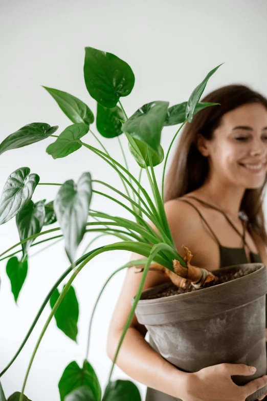 a woman holding a potted plant in her hands, inspired by Carpoforo Tencalla, smiling playfully, lush greens, all growing inside an enormous, grey