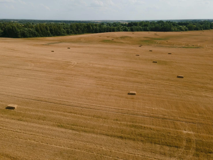 a field with hay bales and trees in the distance, by Attila Meszlenyi, pexels contest winner, land art, drone footage, brown, high resolution product photo, no words 4 k