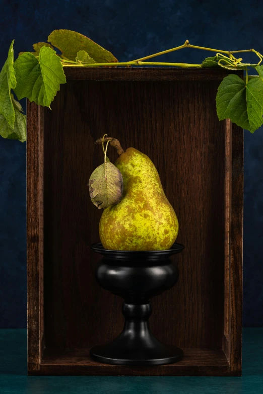 a picture of a pear in a wooden box, a still life, inspired by René Magritte, shutterstock contest winner, renaissance, on a pedestal, shot with sony alpha 1 camera, botanicals, front portrait