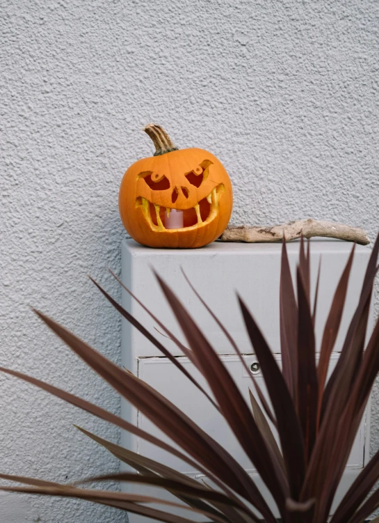 a halloween pumpkin carved into the side of a building, on a candle holder, full product shot, smug grin, medium