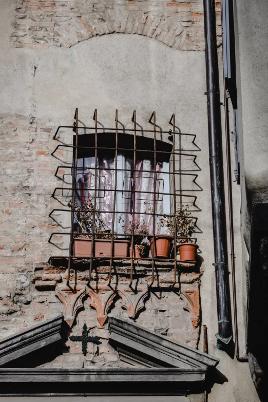 a close up of a building with a window, inspired by Taddeo Gaddi, pexels contest winner, renaissance, potted plant, behind bars, low quality photo, cloth and metal